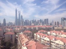 中国之窗｜上海——发现更多 体验更多 四季上海-图片3