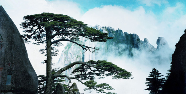 安徽黄山迎客松