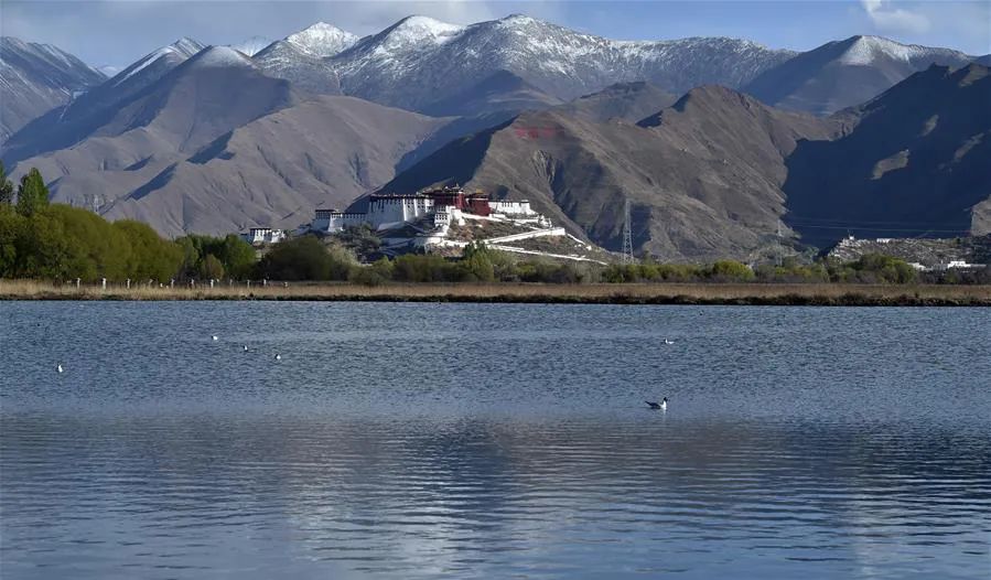 美丽中国 • 西藏篇丨青山常在 绿水长流 空气常新-图片1