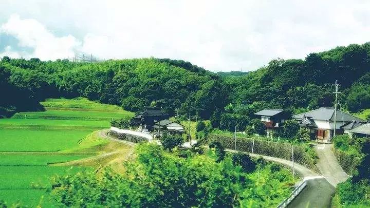 乡村振兴 |日本“一村一品”6个典型案例详解-图片1