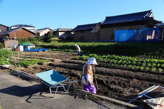乡村振兴 |日本“一村一品”6个典型案例详解