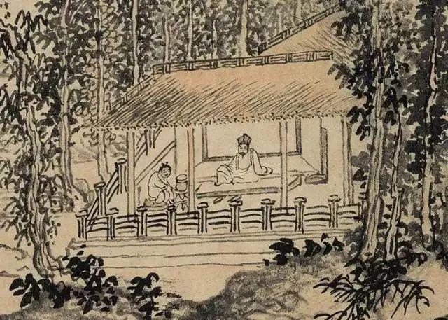 赶在春天,喝杯川茶!-图片24