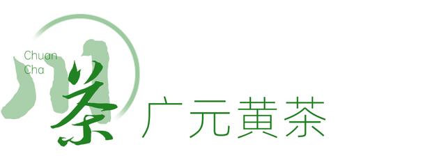 赶在春天,喝杯川茶!-图片26
