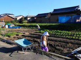 乡村振兴 |日本“一村一品”6个典型案例详解