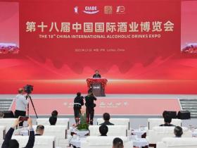 第十八届中国国际酒业博览会开幕,800多家企业参加