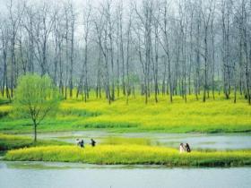 湘阴:豪横的江湖大佬