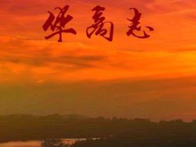 《华商志》全球编委会|天机认证文化品牌